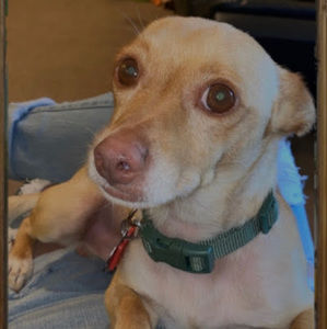 Meet your Posher, Nancy